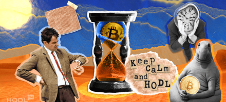HODLing: The Mastery of Watching Bitcoin Collect Dust