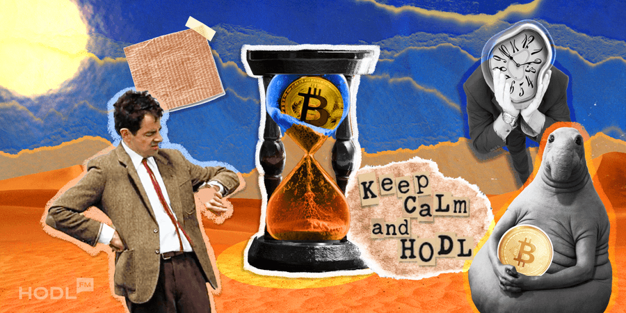 1600D185800 HODLing BP 447 2 HODLing: The Mastery of Watching Bitcoin Collect Dust