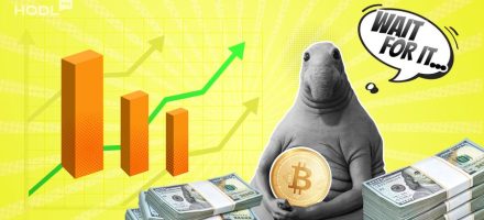 How to HODL: Mastering the Art of Patience and Profits
