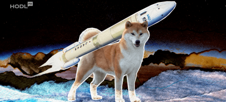 Dog Days of Crypto: Solana Memecoin Turns $226K into $1.69M in 5 Days