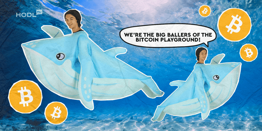 The Fab 5 Who Rule the Crypto Jungle min Bitcoin Bosses: The Fab 5 Who Rule the Crypto Jungle! The Fab 5 Who Rule the Crypto Jungle min Bitcoin Bosses: The Fab 5 Who Rule the Crypto Jungle!
