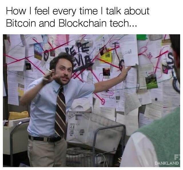 explaining bitcoin The Crypto Pulse: High Stakes, High Innovation, and High-Speed Hamsters!