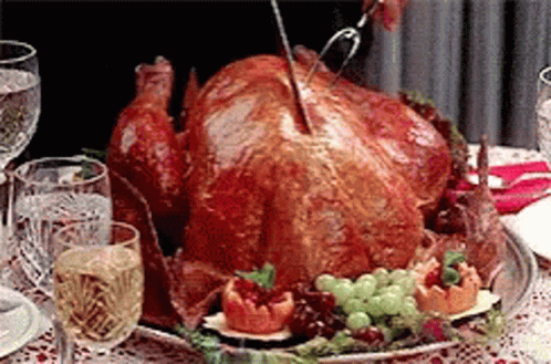 happy thanksgiving gobble Solanas BONK Cements Meme Status, Reaches 69th Place on CoinGecko with a Market Cap Surpassing $1 Billion