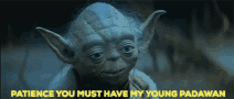 yoda patience How to HODL: Mastering the Art of Patience and Profits