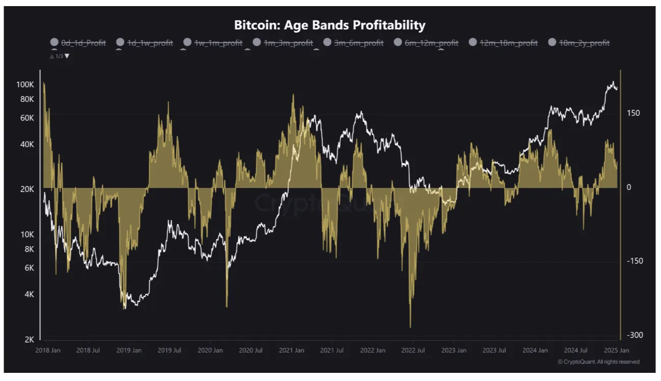01943ada 9448 727d be07 dab6e8d1a074 Back to $76K for 2025? 5 Things to Know in Bitcoin This Week Bitcoin STH profitability (screenshot). Source: CryptoQuant