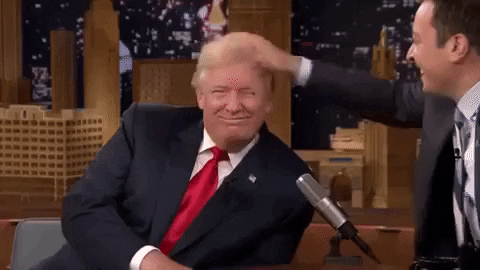11 giphy 3 #PolitiFi Memecoins: The Impact of Political Events on Cryptocurrency Market