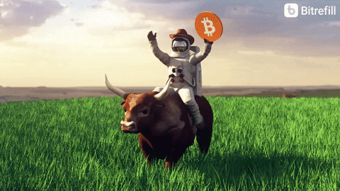 13 giphy 1 Spot Bitcoin ETFs Debut with $4.6 Billion Trading Volume, But Zero Inflows