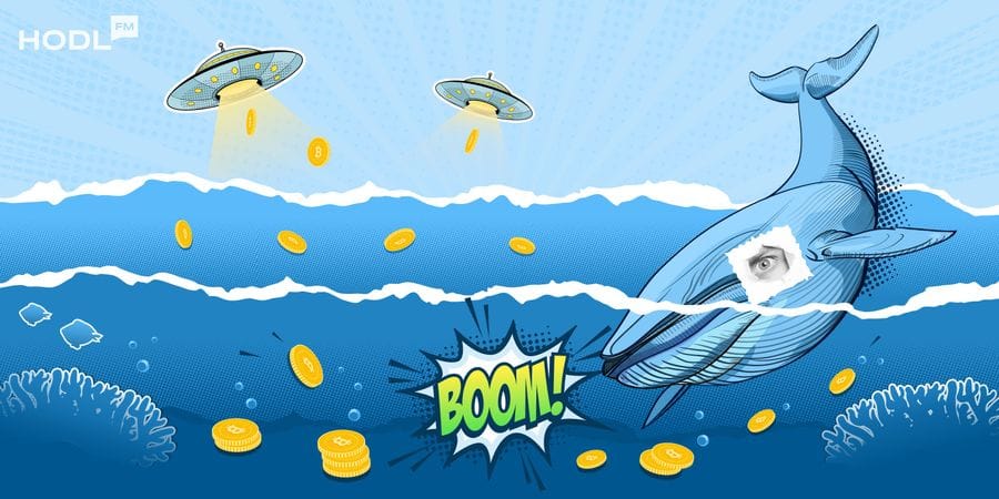 1600 800 whales Can SUI Token Recover or Will It Drop Below $3? 1600 800 whales Can SUI Token Recover or Will It Drop Below $3?