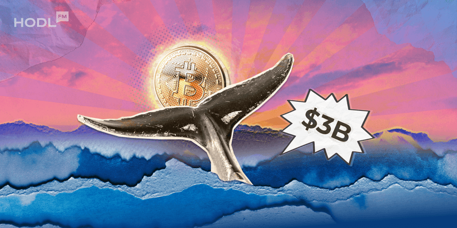 1600x800 BP 926c Bitcoin Whales have Accumulated a Whopping $3 Billion in January