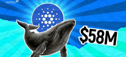 Cardano Whales Make a Splash: $58 Million ADA Purchase Sparks Rally