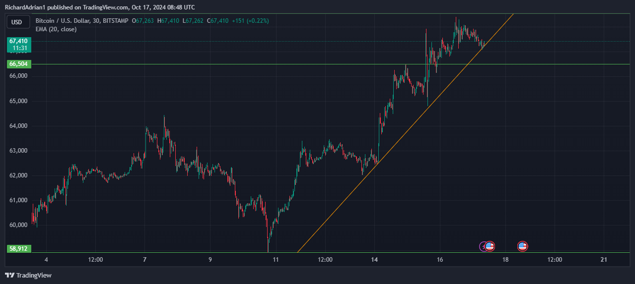 BTC USD price TradingView Bitcoin Price Prediction - $70,000 is Just Around the Corner BTC USD price TradingView Bitcoin Price Prediction - $70,000 is Just Around the Corner