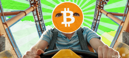 Bitcoin Price Struggles as Profit Taking Hits and Market Prepares for Fall