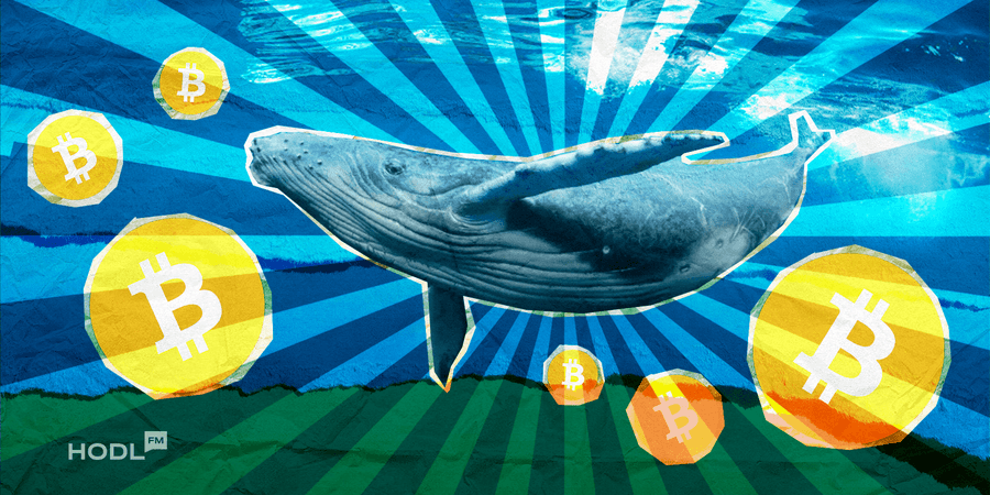 Bitcoin Rise 2 1 3 Bitcoin and Ether Drop as U.S. Inflation Data Shakes Investor Confidence Bitcoin Rise 2 1 3 Bitcoin and Ether Drop as U.S. Inflation Data Shakes Investor Confidence