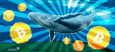 Bitcoin’s Bullish Mood Drives Altcoins Forward