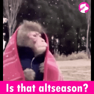 Christmas Metis GIF by Why September Could Mark the Start of Altcoin Season Is that altcoin season