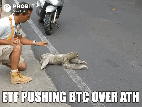 Crypto Bitcoin GIF by ProBit Global 1 Bitcoin ETFs Hit Longest Inflow Streak Since 2024 Crypto Bitcoin GIF by ProBit Global 1 Bitcoin ETFs Hit Longest Inflow Streak Since 2024