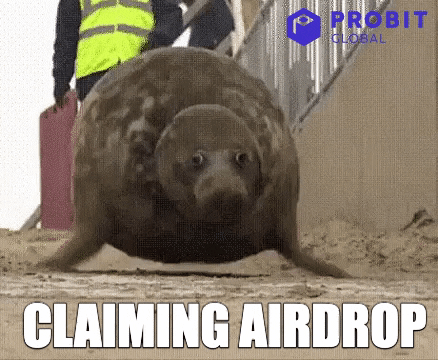 Crypto Bitcoin GIF by ProBit Global Midnight Network Unveils Glacier Drop Airdrop with $24B in Tokens for Crypto Users Crypto Bitcoin GIF by ProBit Global Midnight Network Unveils Glacier Drop Airdrop with $24B in Tokens for Crypto Users