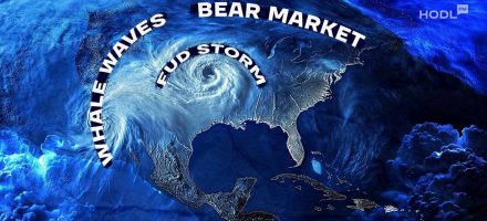Why is the Crypto Market Down This Week?