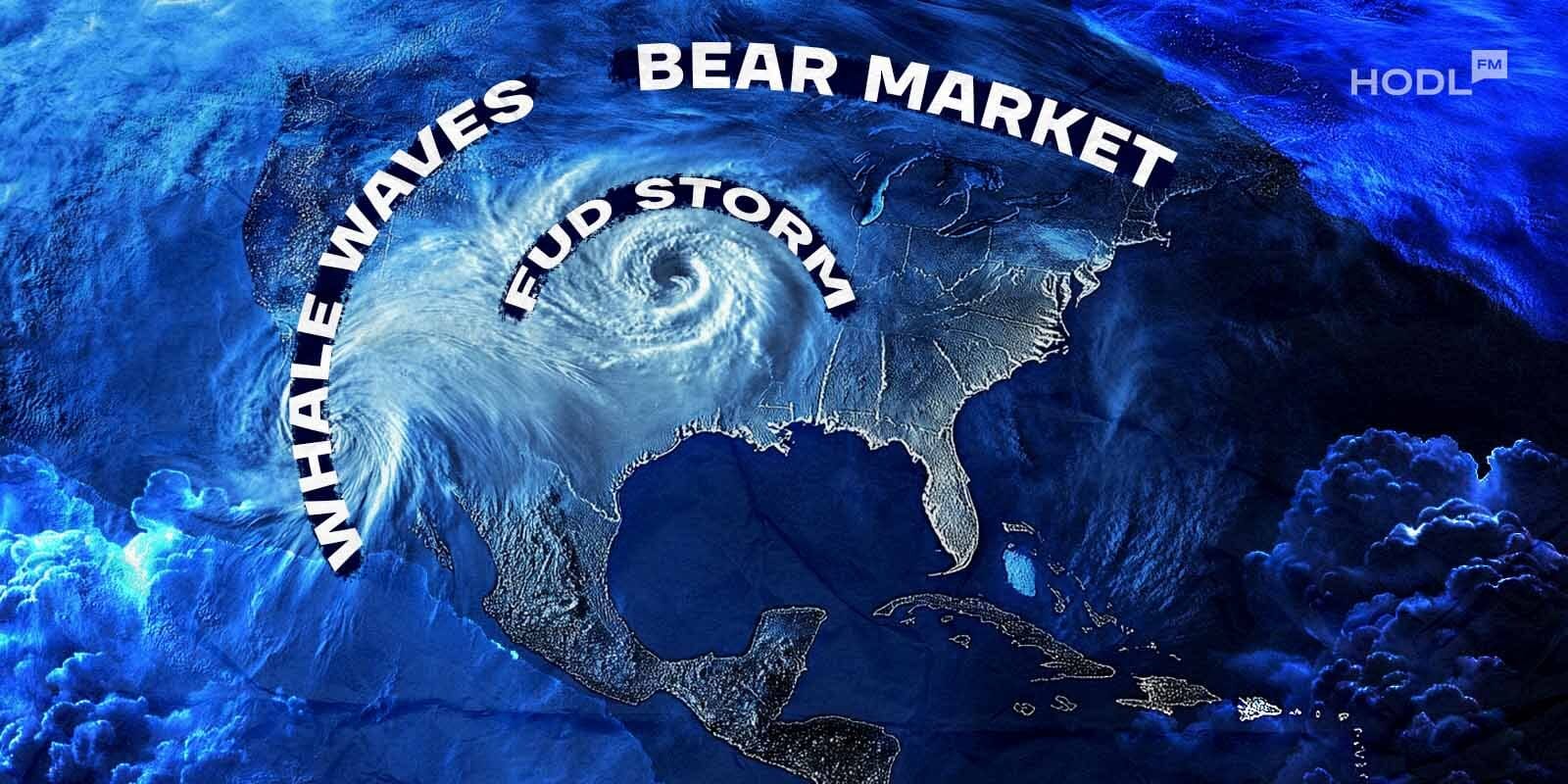 Crypto Market Down Today Why is the Crypto Market Down This Week? Crypto Market Down Today Why is the Crypto Market Down This Week?