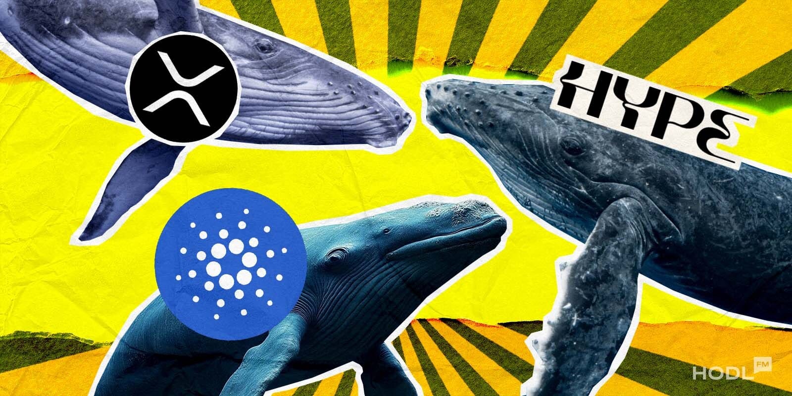 Digest 51 Crypto Whales Make a Splash: What They're Buying for January 2025