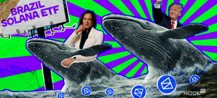 Polymarket`s Huge Election Bets, Crypto Support for Harris, Brazil Launches Solana ETF, and Cunning Whale’s Accumulations