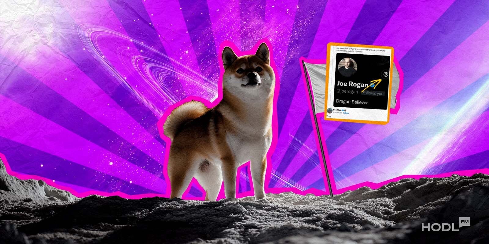 Dogecoin cover Is Elon Musk Driving Dogecoin's Price Up or Just Playing the Market?