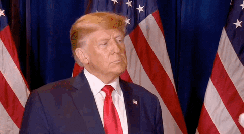 Donald Trump GIF by GIPHY News Trump Bans Woke AI Over Diversity and Truth Concerns Donald Trump GIF by GIPHY News Trump Bans Woke AI Over Diversity and Truth Concerns