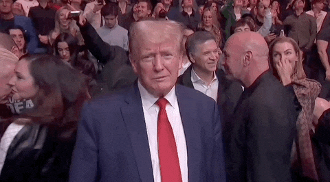 Donald Trump Thank You GIF by UFC Trump Media’s New Token Tied to Streaming and Bitcoin Strategy Donald Trump Thank You GIF by UFC Trump Media’s New Token Tied to Streaming and Bitcoin Strategy