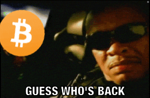 Dr Dre Meme GIF by Crypto Memes Bitcoin Price Predictions Show Potential for 500K Target Bitcoin