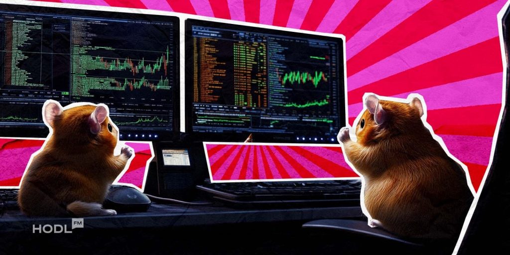 Hamster Kombat Launch Token Concerns 300M Players Set to Earn in Hamster Kombat's Massive 3B HMSTR Token Airdrop