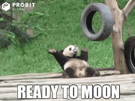 Happy Moon GIF by ProBit Global Bitcoin On-Chain Action Heats Up Near 108000 Next Stop 120000 Happy Moon GIF by ProBit Global Bitcoin On-Chain Action Heats Up Near 108000 Next Stop 120000