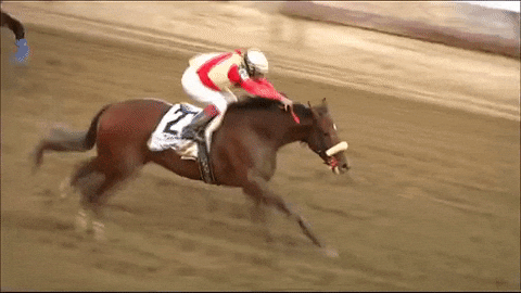 Horse Racing Horses GIF Bitwise CIO Matt Hougan Discusses Corporate FOMO and Bitcoin’s Growing Role Horse Racing Horses GIF Bitwise CIO Matt Hougan Discusses Corporate FOMO and Bitcoin’s Growing Role