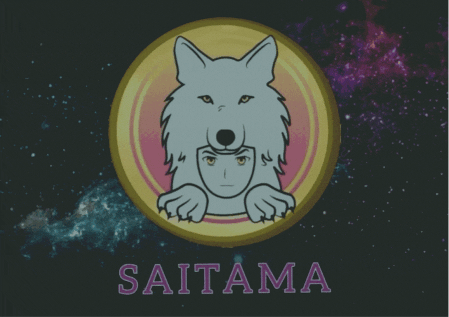 How to Buy Saitama Inu min 1024x724 1 How to Buy the Saitama Inu? https://www.dumblittleman.com/how-to-buy-saitama-inu/