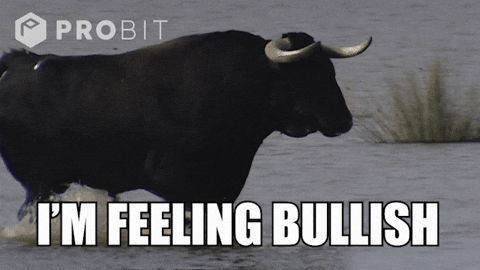 Invest All Time High GIF by ProBit Global Bullish Launches IPO to Raise $629 Million and Join Crypto’s Public Market Party Invest All Time High GIF by ProBit Global Bullish Launches IPO to Raise $629 Million and Join Crypto’s Public Market Party