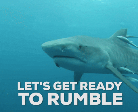 Lets Get Ready To Rumble Discovery GIF by Shark Week Tether and Rumble Plan $1.17B Deal to Boost AI Infrastructure Let's get ready to Rumble