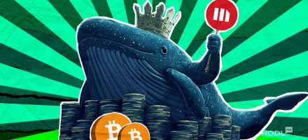 Whales in Action: Optimistic Outlook for Bitcoin Despite Market Volatility
