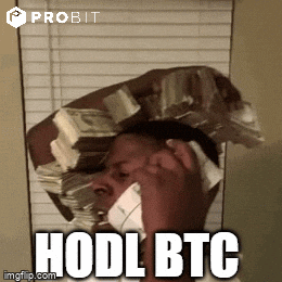 Money Bitcoin GIF by ProBit Global Méliuz Buys Over 320 Bitcoin Worth $33M as Stock Surges 117%