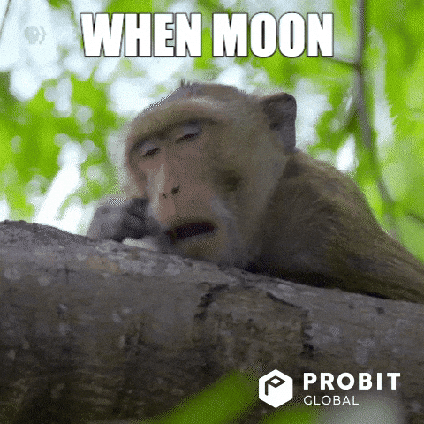 Moon Bitcoin GIF by ProBit Global Economic Pressures and ETF Outflows Stall Crypto Market Recovery when moon