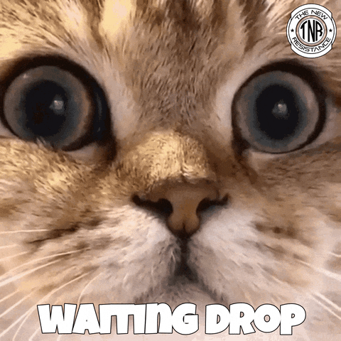Nft GIF by The New Resistance Bitcoin and Ether Drop as U.S. Inflation Data Shakes Investor Confidence Waiting Drop