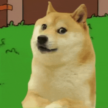 Run Away Shiba Inu GIF by Justin Dogecoin Faces Threat of 51% Attack After Qubic’s Monero Test Doge Hiding