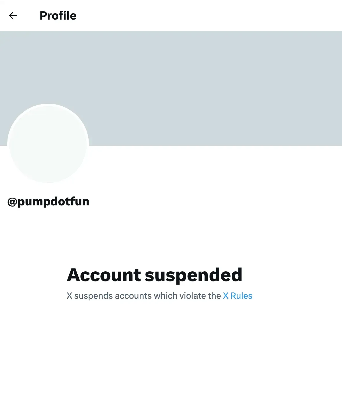 Screenshot 2025 06 17 at 10.37.00 AM.png X Suspends Pump.fun Accounts Just Before PUMP Token Sale Launch
