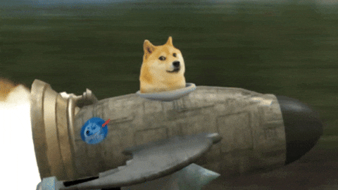 To The Moon GIF by Shibetoshi Nakamoto Dogecoin Bounces Back With Bullish Double Bottom Pattern To The Moon GIF by Shibetoshi Nakamoto Dogecoin Bounces Back With Bullish Double Bottom Pattern