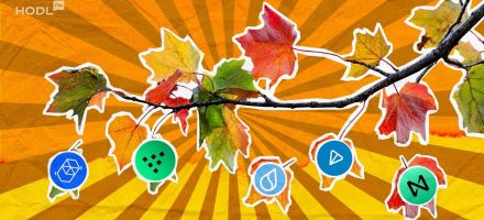 Top Cryptocurrencies to Buy in November