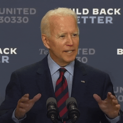 Voting Election 2020 GIF by Joe Biden Microsoft Blocks 2300 Lumma Stealer Malware Sites in Major Cybercrime Crackdown Voting Election 2020 GIF by Joe Biden Microsoft Blocks 2300 Lumma Stealer Malware Sites in Major Cybercrime Crackdown