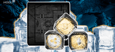 The Ice Fortress: Your No-Nonsense Guide to Cold Wallets