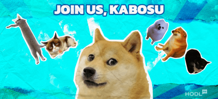 The Dogecoin Symbol Left Us: How Did the Coin React?