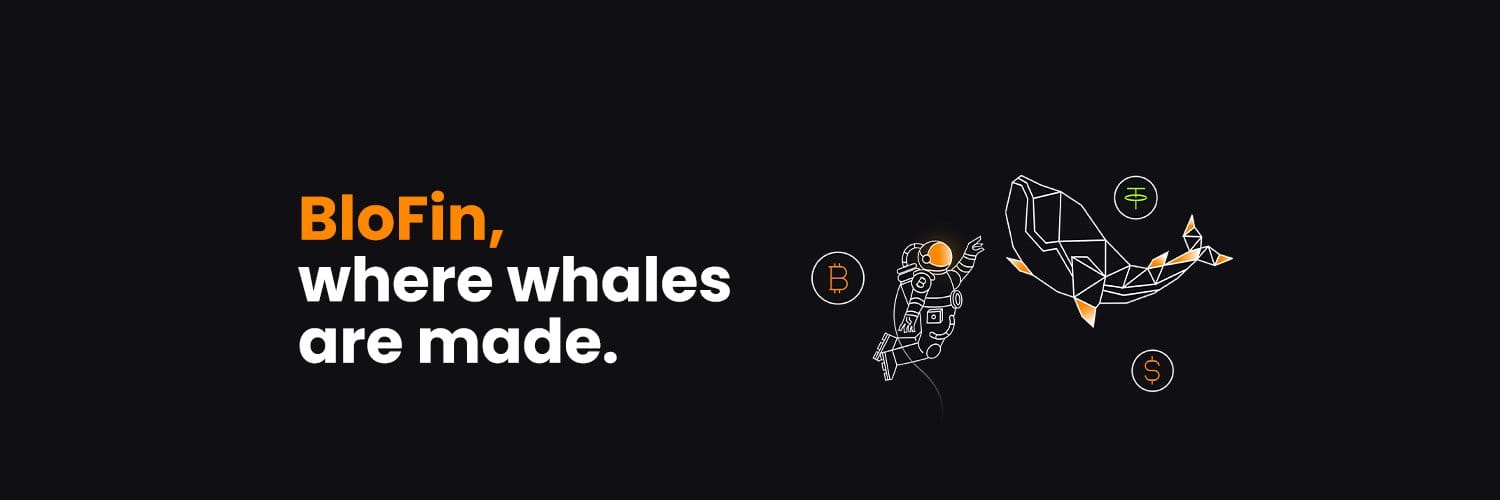 biofin Top Safest Crypto Exchanges in 2024 biofin Top Safest Crypto Exchanges in 2024