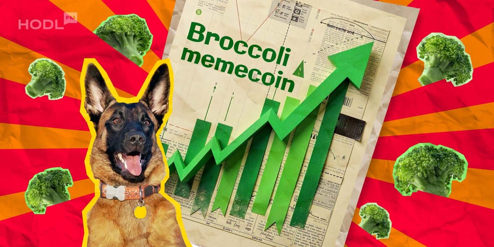 broccoli news CZ’s Dog’s Name Goes Viral—Now There’s a Broccoli Memecoin Empire broccoli news CZ’s Dog’s Name Goes Viral—Now There’s a Broccoli Memecoin Empire