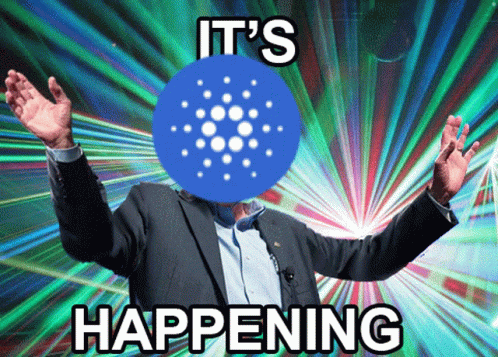 cardano meme funny cardano Best 10 Cardano NFT Marketplaces cardano meme funny cardano Best 10 Cardano NFT Marketplaces