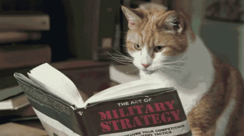 cat military strategy Long and Short Positions in Crypto